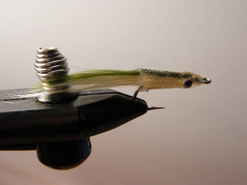 Baitfish