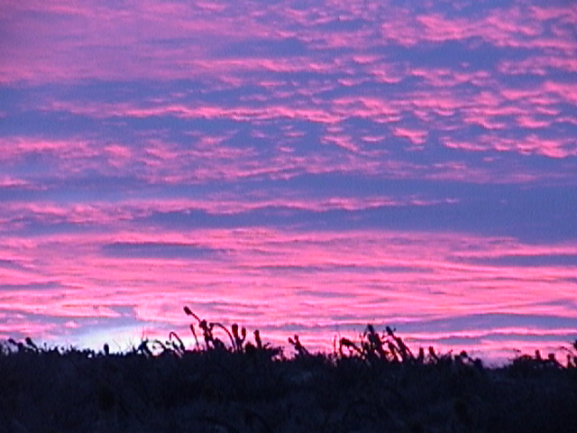 Baja Sunset