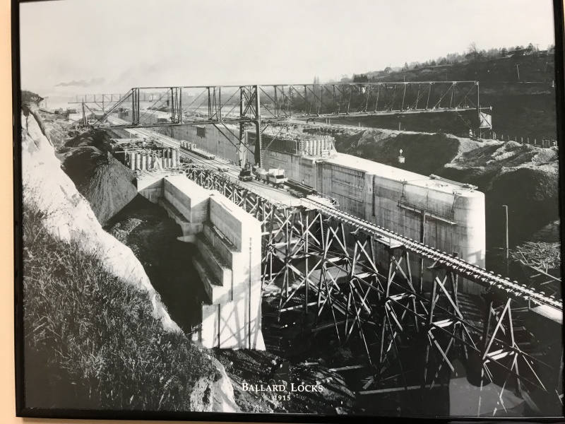 Ballard Locks construction photo