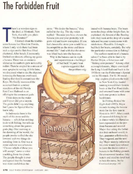 Bananas research.jpg