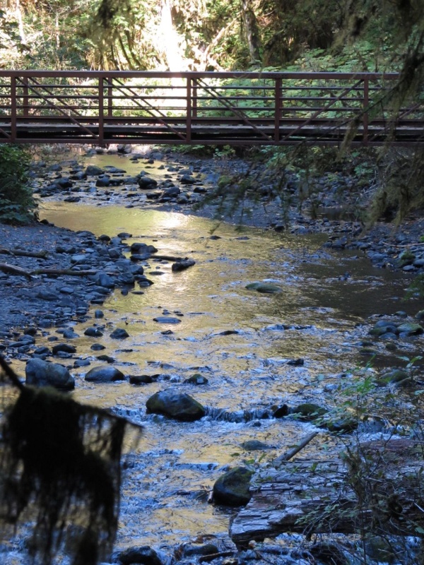 Barnes Creek