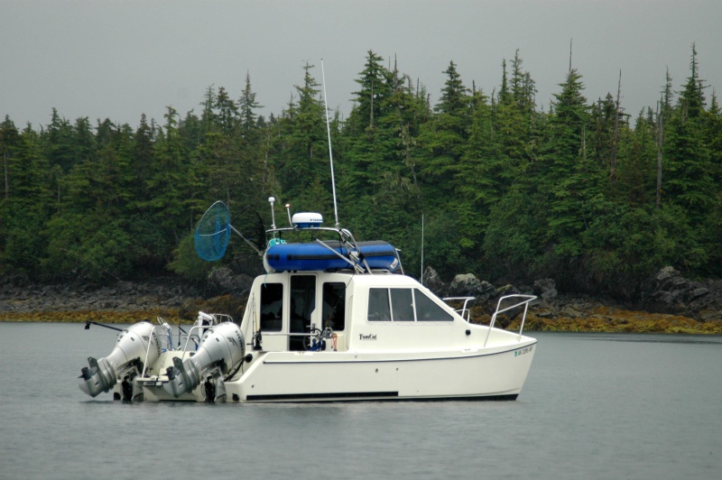 Barrel o Monkeys in Bass Harbor