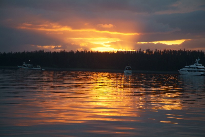 BARTLETT COVE.jpg