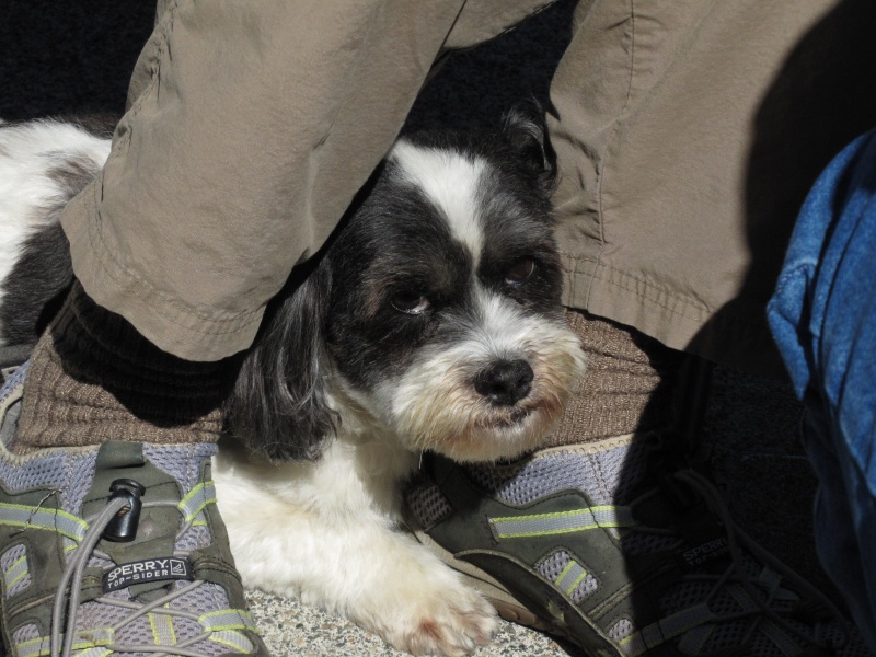 Baxter at Langley 7-11-14