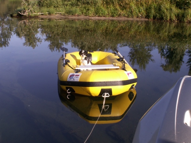 Baxter in Dinghy Priest River 8 22 07.sized
