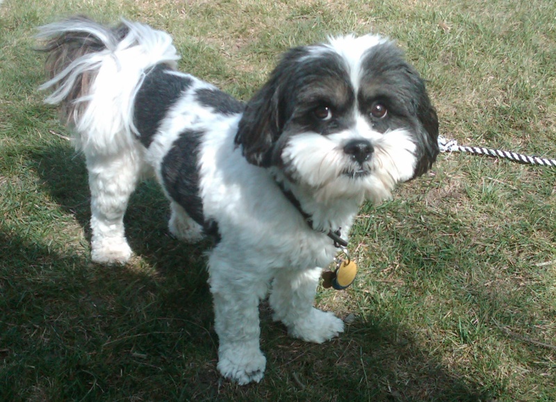 Baxter