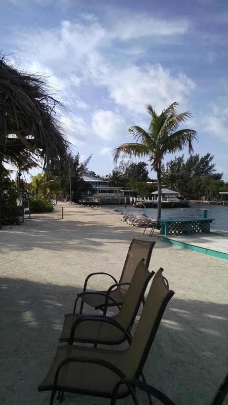 Beach Area at the Black Fin