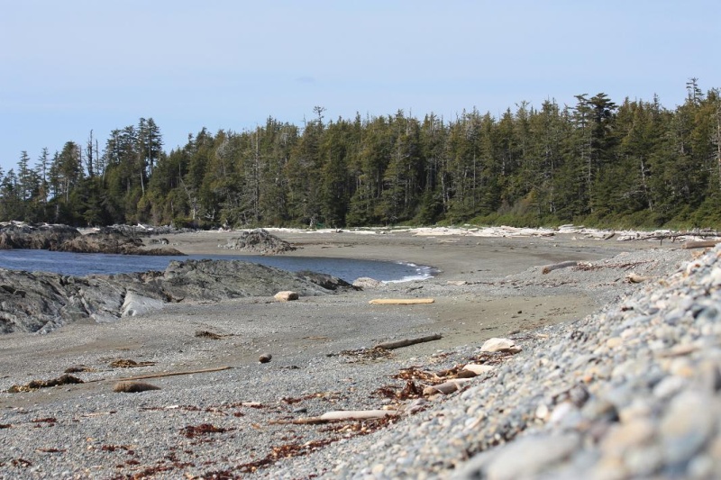 Beach at Secret Cove