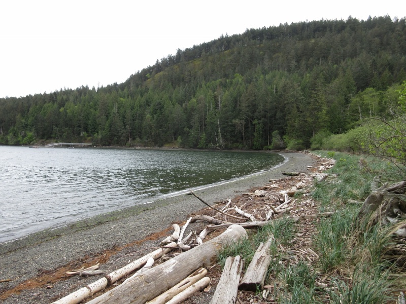 Beach in Reid Harbor