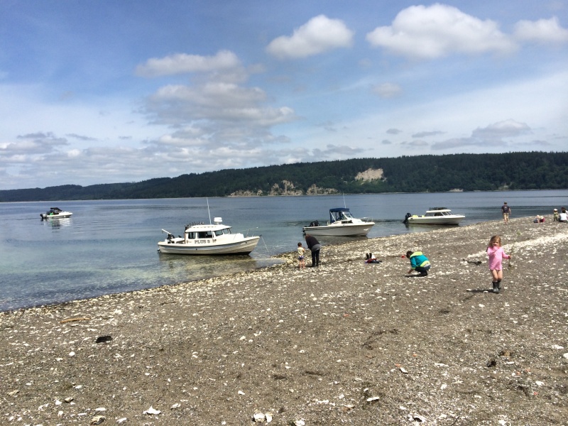 beached boats