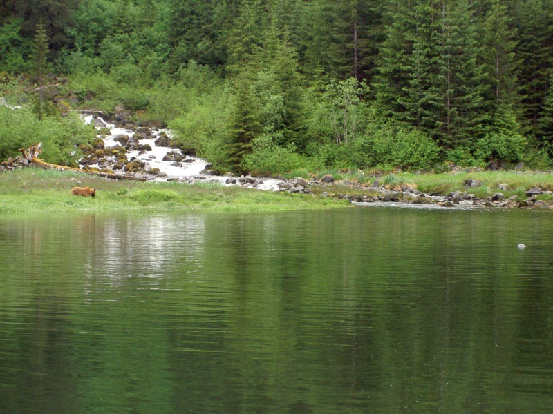 bear and seal fords terror inlet