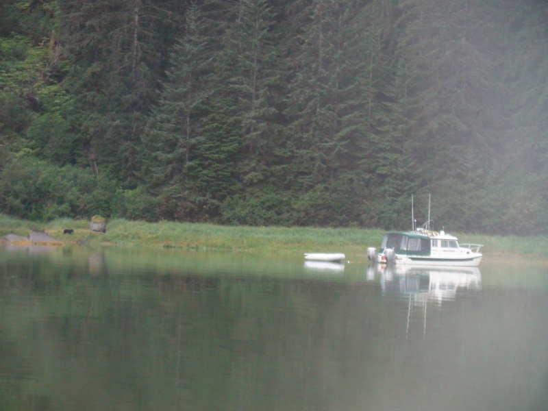 bear by anchorage fords terror