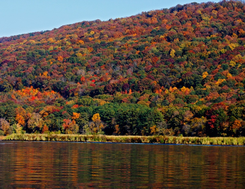 Beautiful fall day on Lake Guntersville presents brilliant color in the glassy river.