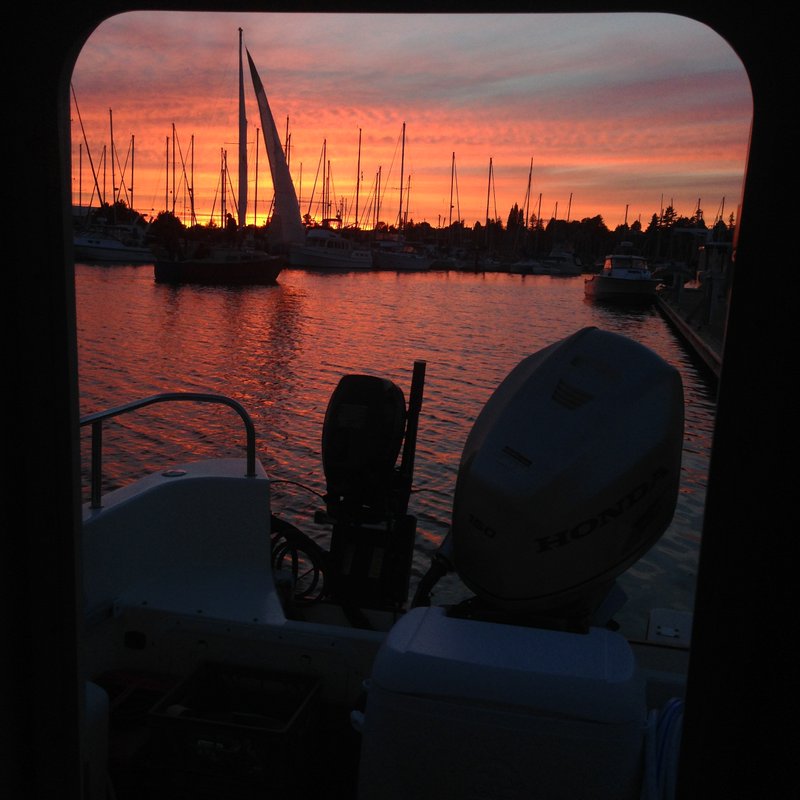 Bellingham