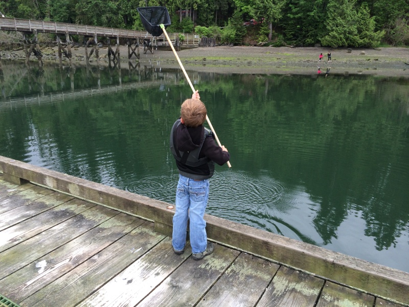 ben trying to catch something off teh docks