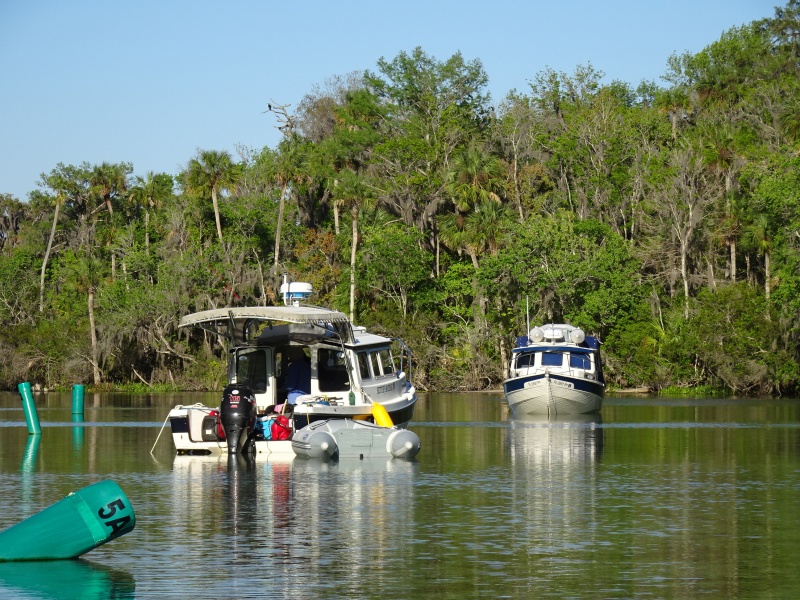 Bettie's Bateau and C otter at Silver Glen Springs