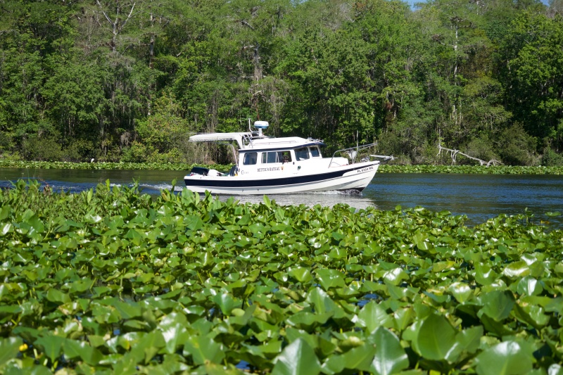 Bettie's Bateau on the Oklawaha River.