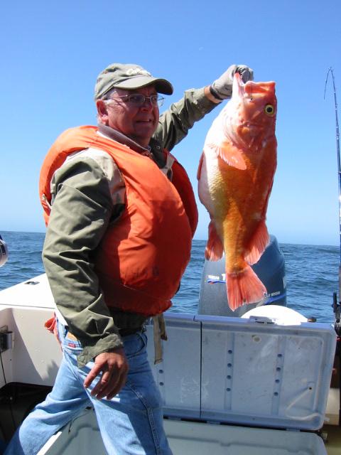 Big Boy Yelloweye