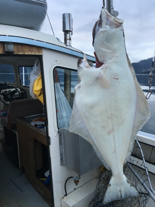 Big But, 11 June 2016, Prince William Sound