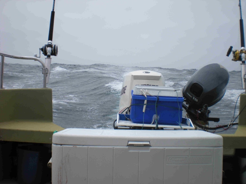 Big swell comming up
