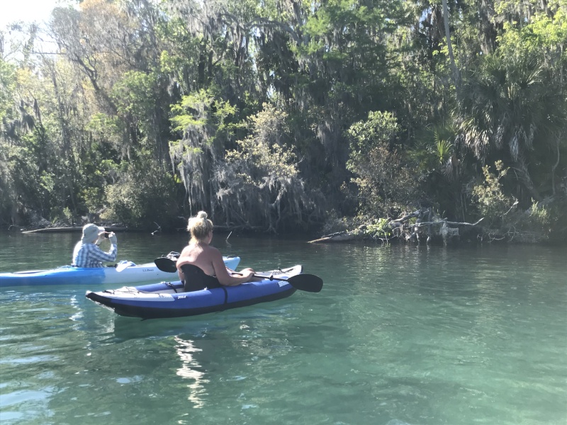 Bill and Rosanne checking out an alligator and turtle