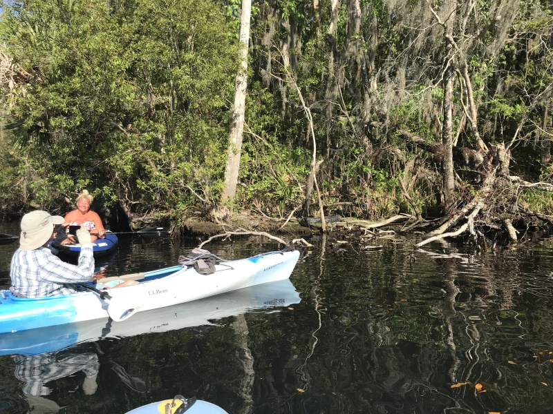 Bill and Rosanne checking out another alligator