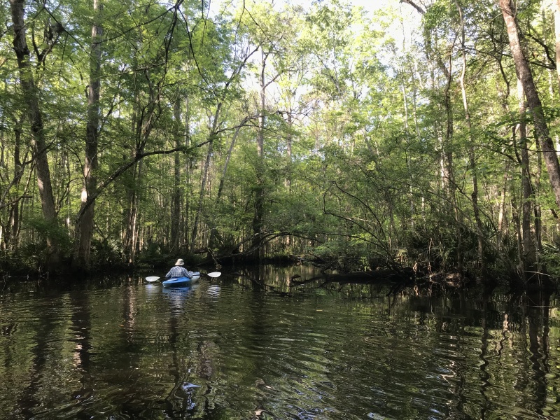 Bill Kayaking on 6 Mile Creek