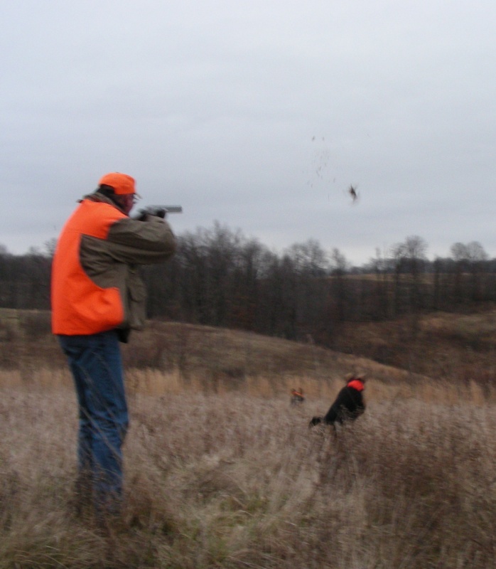 Bird down.  Dogs in high gear.