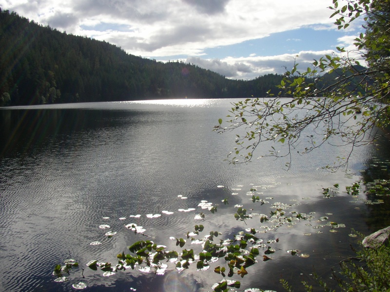 Black Lake, a 4 minute hike from the mouth of Roscoe Bay