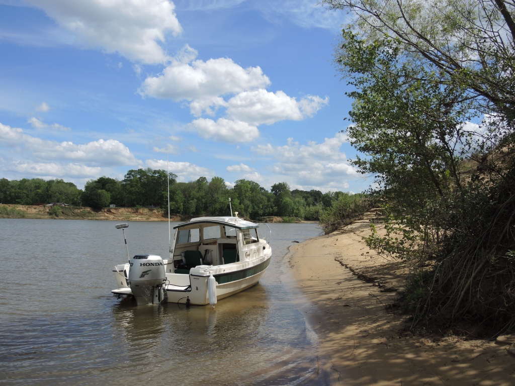 Black Warrior River trip 2017