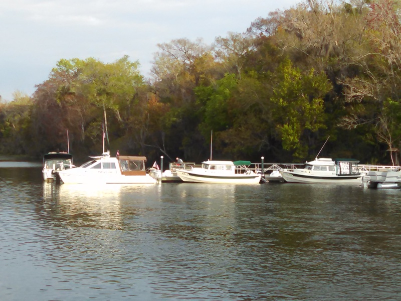 Blue Days, Molly Brown, Meri Aura and Out2C at De Leon Springs state park waiting for pancakes.