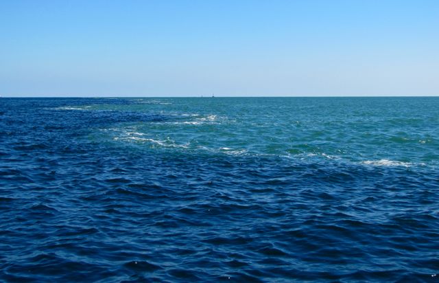 Blue line in the Gulf
