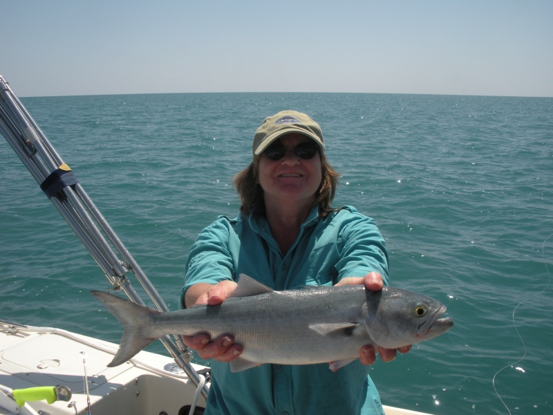 Bluefish.