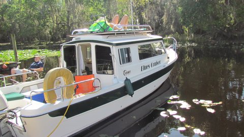 Blues Cruiser