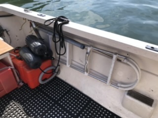 Boarding ladder