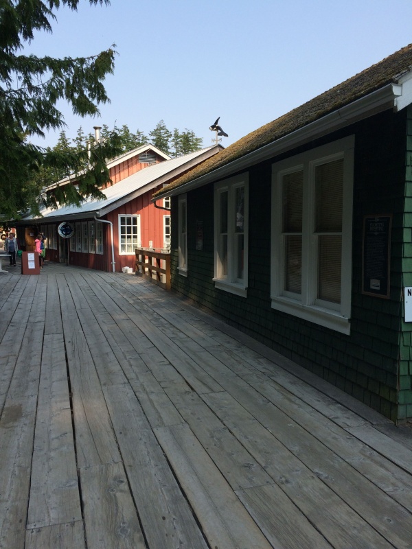 boardwalk at Telegraph Cove