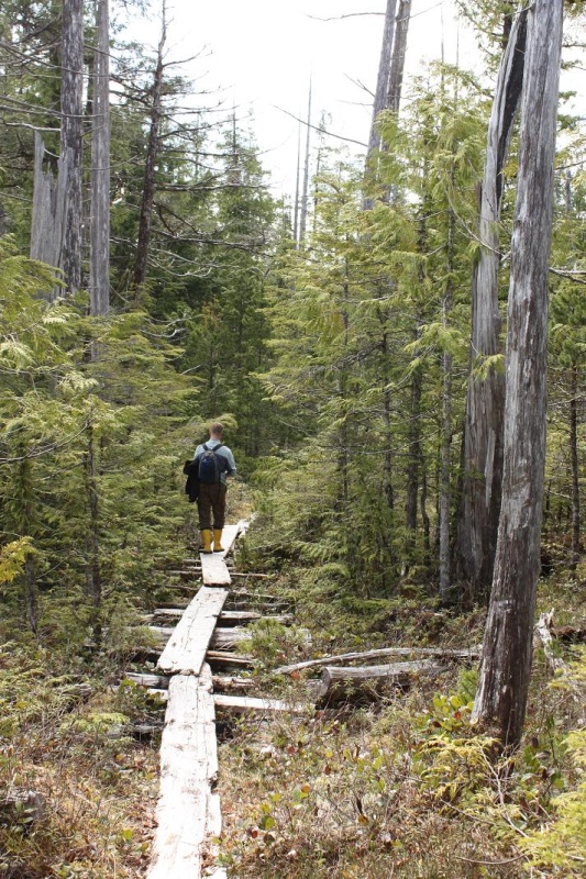 Boardwalk to the 'Far Side' at Oona River