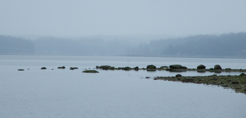 Boating in the Rain