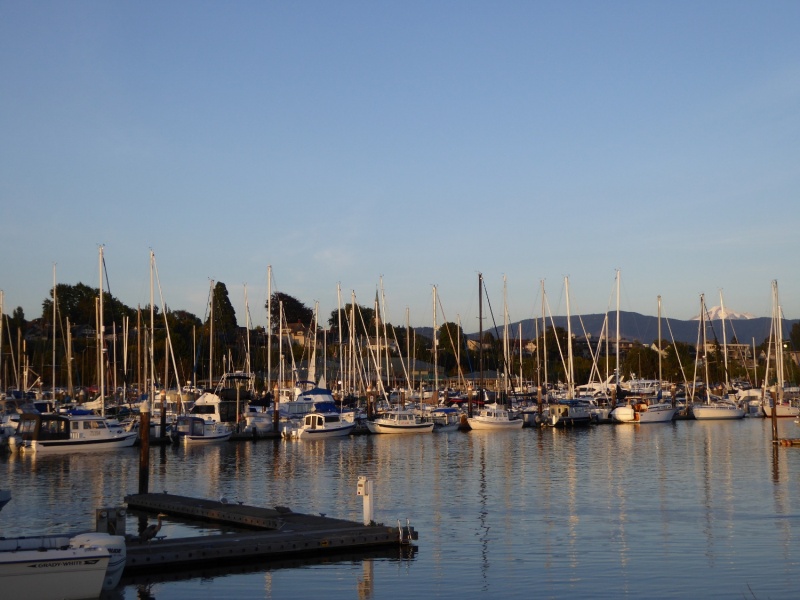 Boats at sunset Saturday