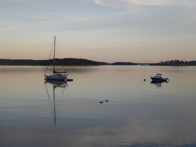Boats at the South anchorage Sunday night
