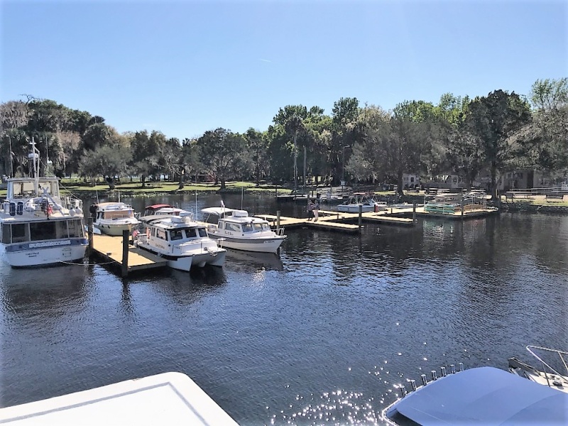 Boats on the east dock at Hontoon for the gathering.