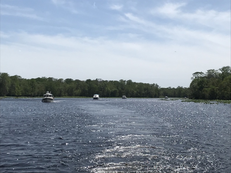 Boats touring on the Hontoon Loop