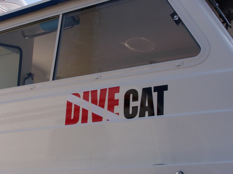 (Bob Cat) DIVE CAT LIVES!!!
