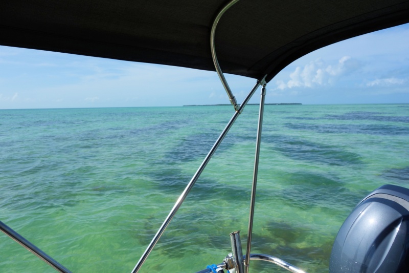 Boca Grande key