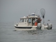 Bodega 2010...fishing for Salmon on one of the few CALM days
Dave and I caught 4 20 pound King Salmon in 90 mins
this day