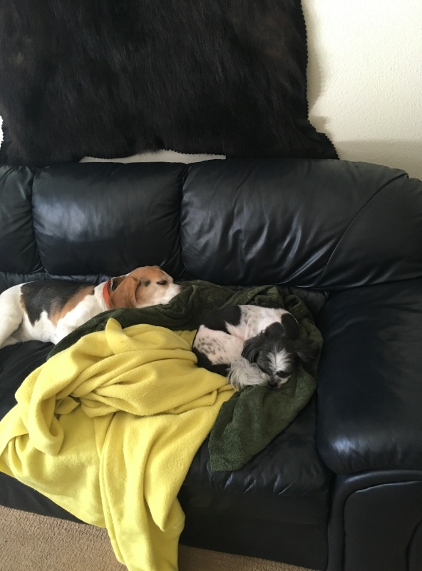 Bodie & Tucker