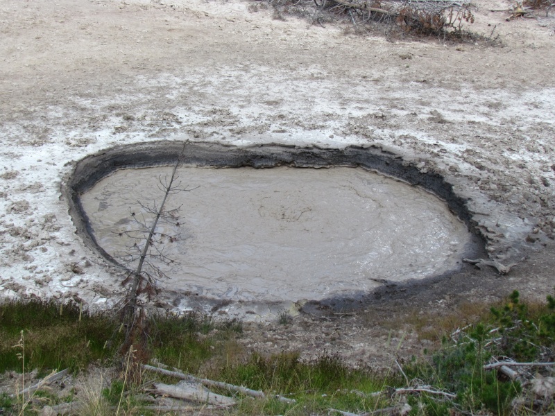 Boiling Mud near Hayden Valey