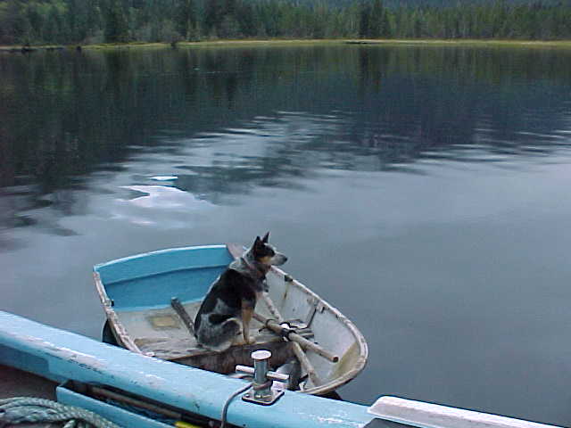 (BOMBERO)
secluded inlet
northern british columbia inlet