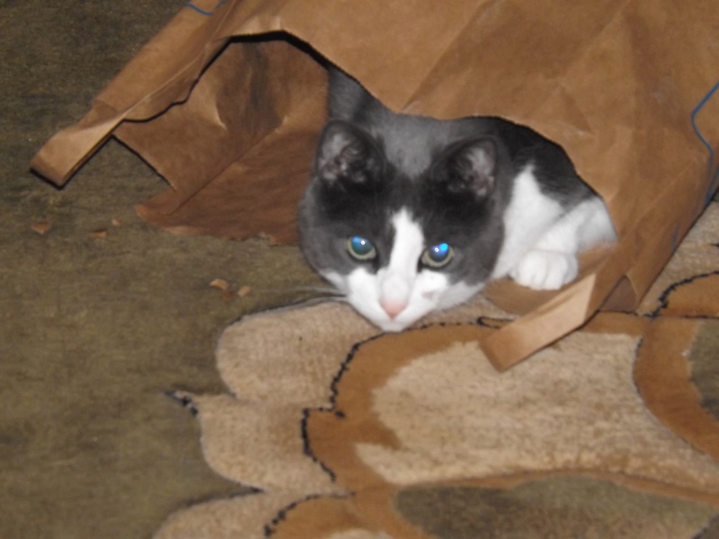 Bonnie in the \"Bag\"