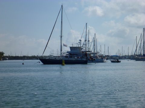 Boot Key Harbor notice the rows of boats on mooring balls. Great shopping and anything you need is available in Marathon which even has an airport that can take small jets